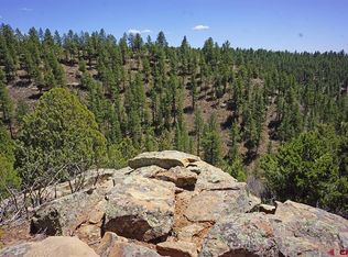 6 TBD Road T.7, Mancos, CO 81328