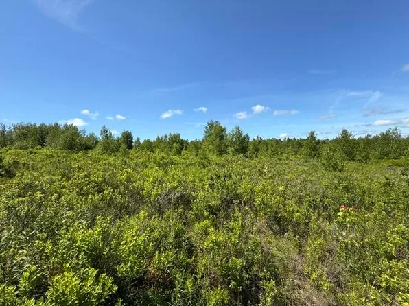 Map10LotP 214, Meddybemps, ME 04657