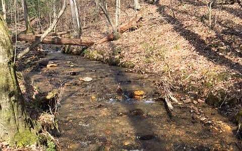 1st image of 0 Gooch Creek Cv