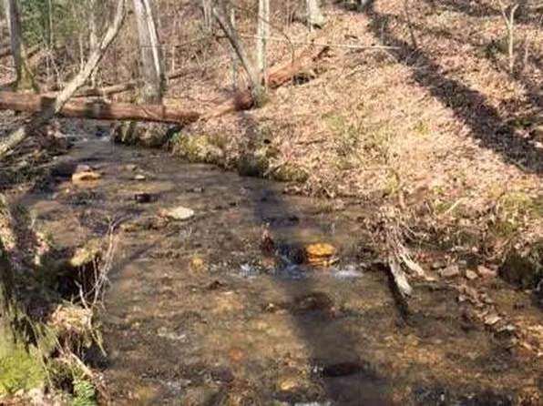 0 Gooch Creek Cv, Suches, GA 30572