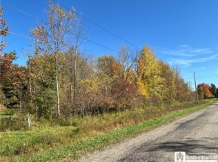 0 Gibbs Rd, Forestville, NY 14062