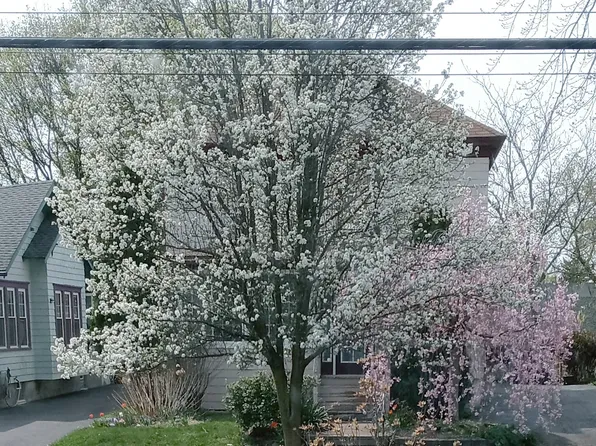 (undisclosed Address), Syracuse, NY 13206