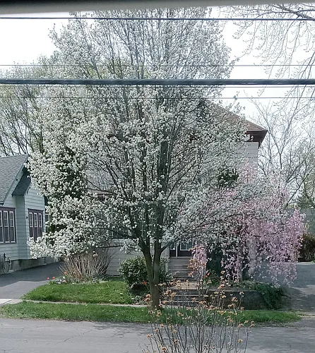 (Undisclosed Address) Photo 1