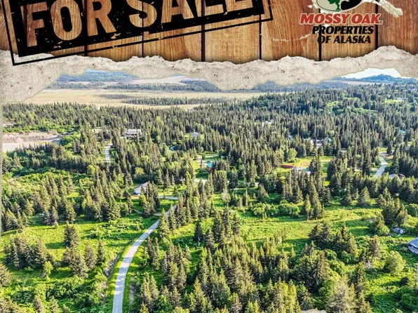 17475 Arcturus Loop, Ninilchik, AK 99639