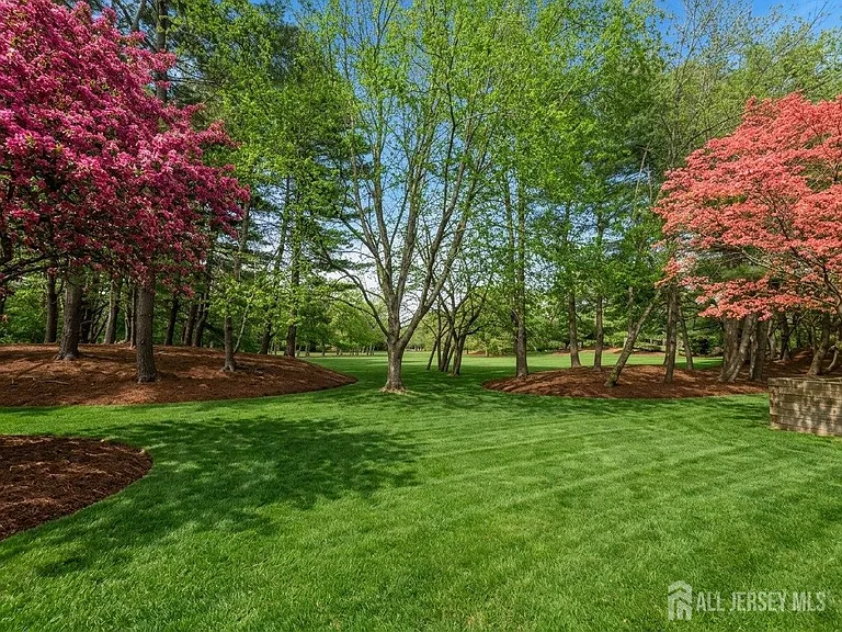 537 Sayre Dr — Photo 5