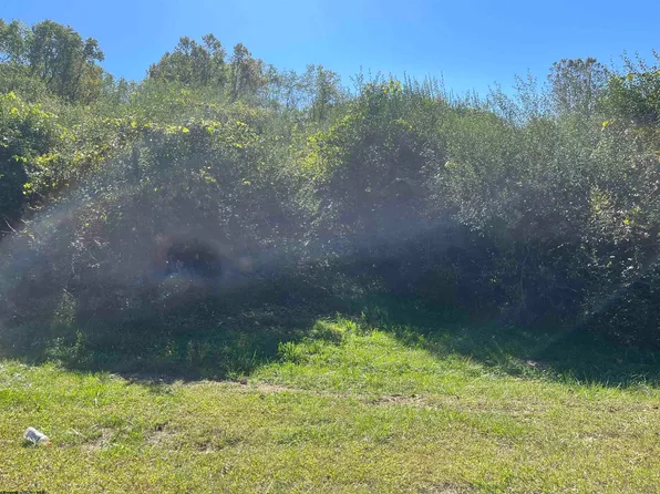 Maple Dr, Jane Lew, WV 26378