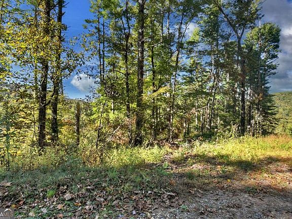 4th image of LOT 123 Bell Camp Ridge Rd