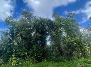 Puni Makai Loop S LOT 1078, Pahoa, HI 96778
