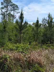 0 Deer Park Burbank Road, Deer Park, AL, 36529