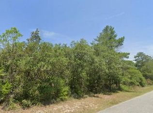 LOT 11 Persimmon St LOT 11, Eustis, FL 32736