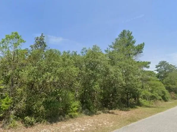 LOT 11 Persimmon St Lot 11, Eustis, FL 32736