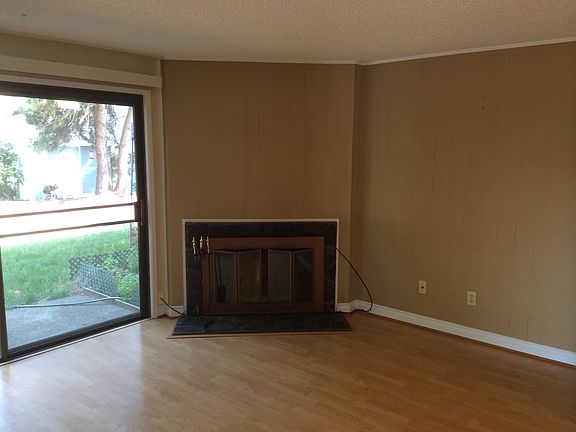 Wood burning fireplace