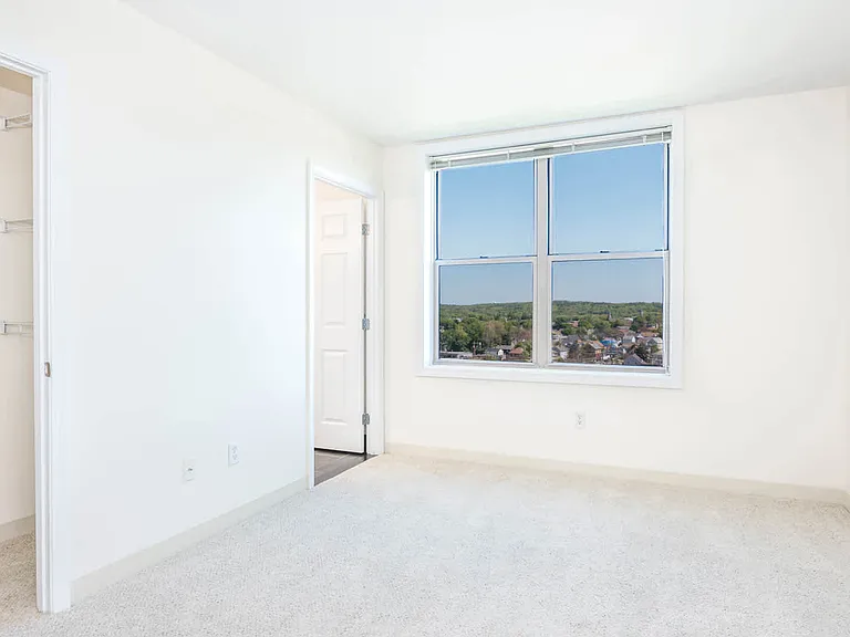 Carpeted Bedroom with Walk-In Closet