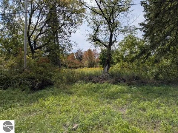 6877 & 6879 Curtis Rd, Hale, MI 48739