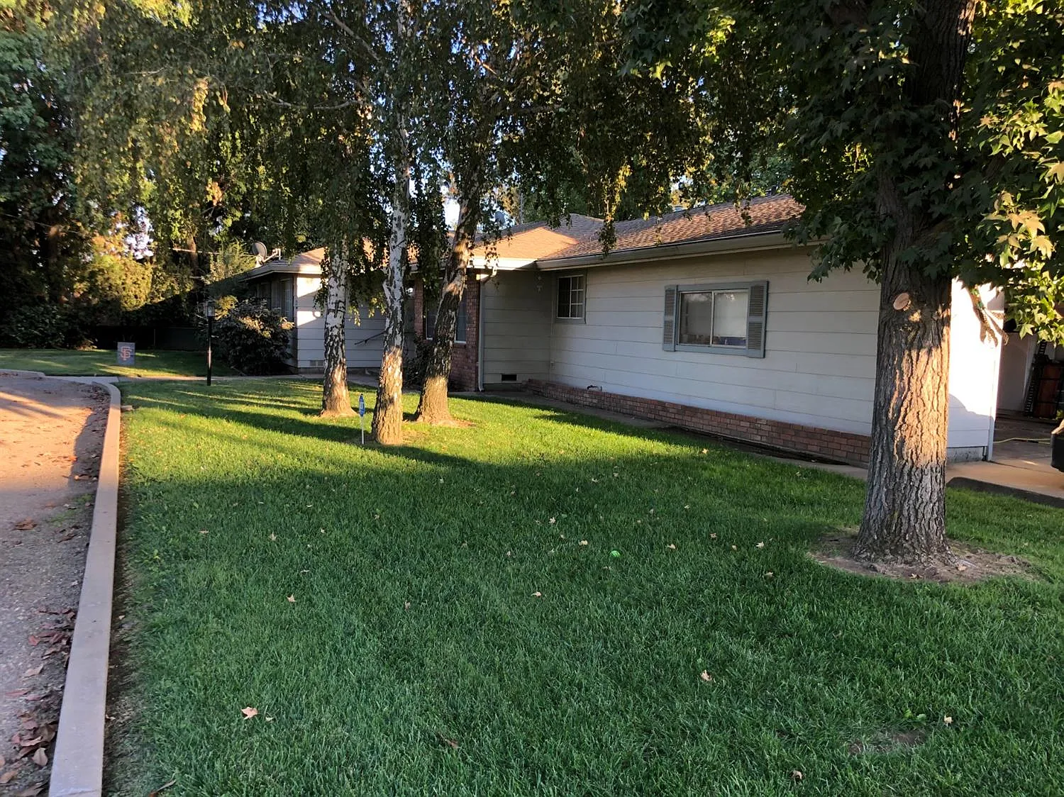 3693 E Olive Ave photo 1