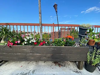 Rented by City Vista Inc