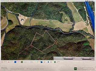 0 Thompson Ridge Rd, Hestand, KY 42151