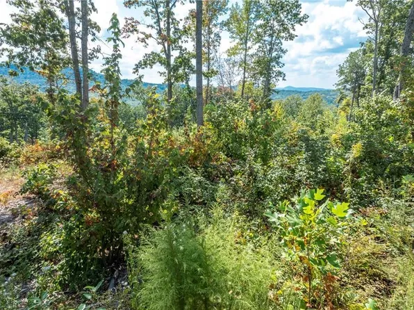 0 Highgrove Dr, Talking Rock, GA 30175