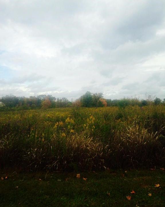 1st image of 9466 Stults Farm Dr