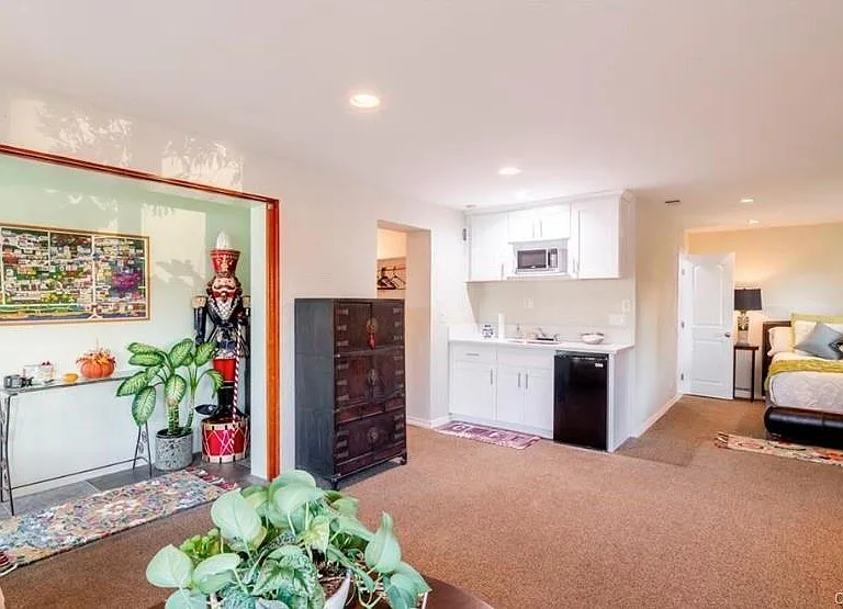 Kitchenette with Walk-In Closet