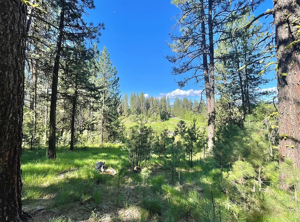 15 Silver Fox Trl, Mccall, ID 83638 | Zillow