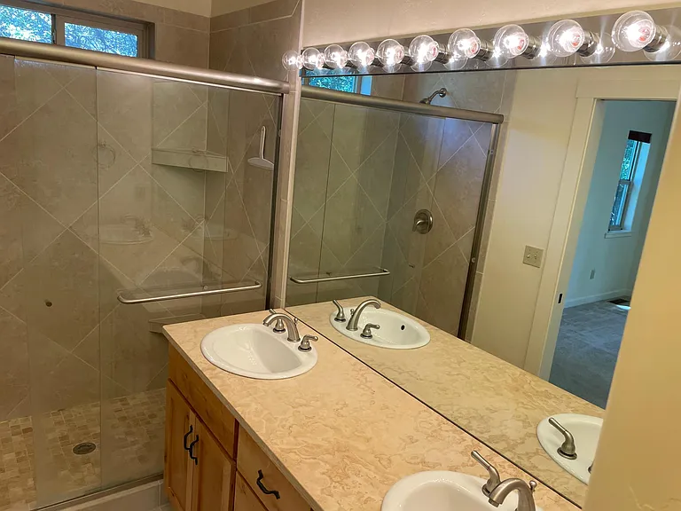 Master Bathroom/ walk in shower