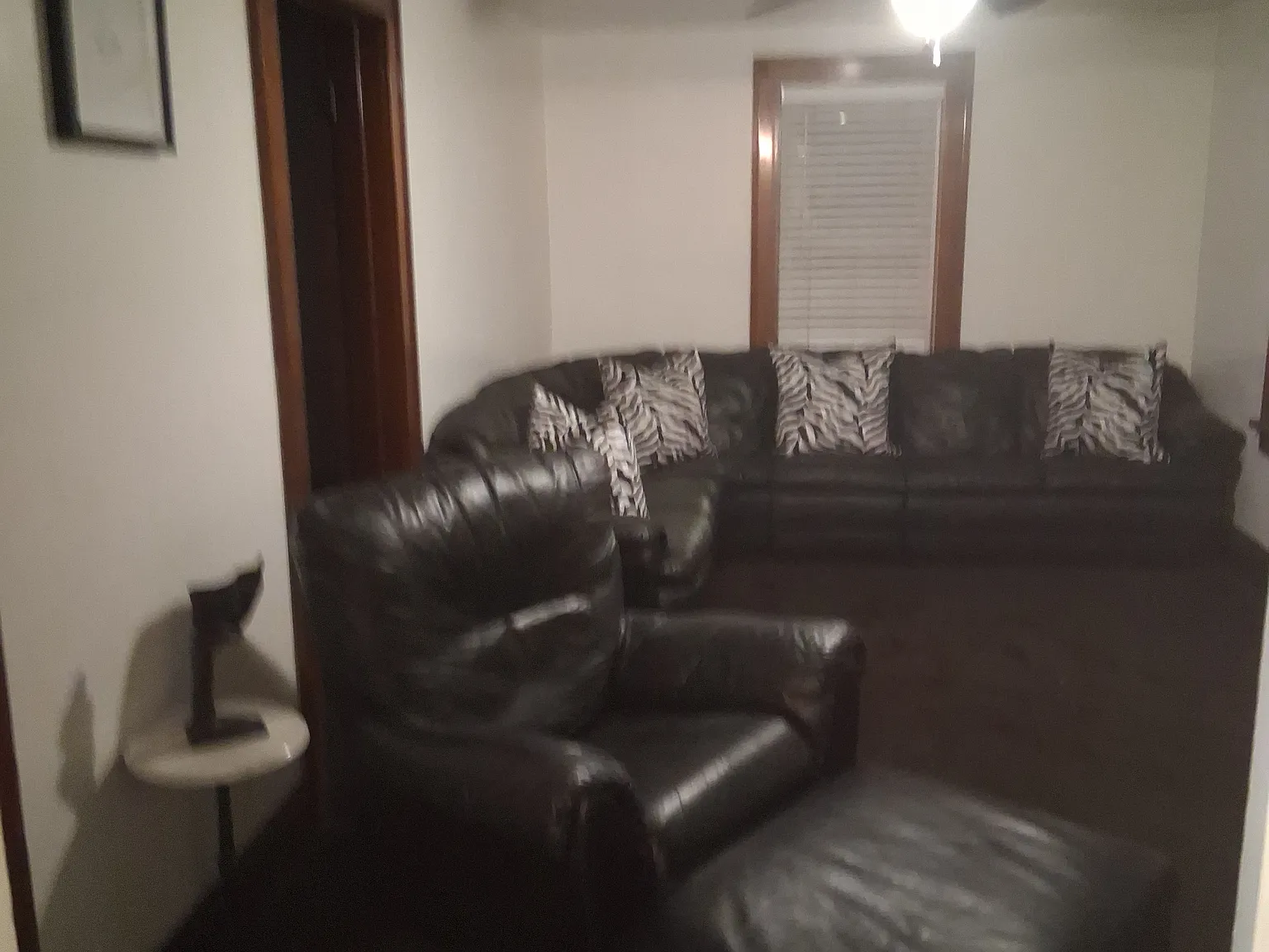 1 bed, 975 sqft, $1,000 — Photo 4