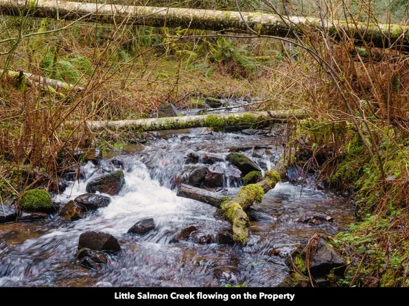 0 XX NNA, Battle Ground, WA 98604