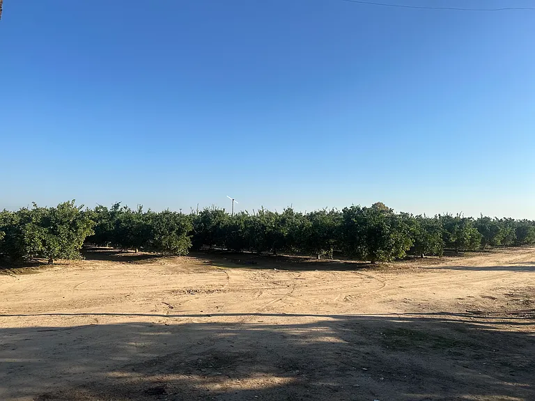 9695 E Tulare Ave — Photo 20