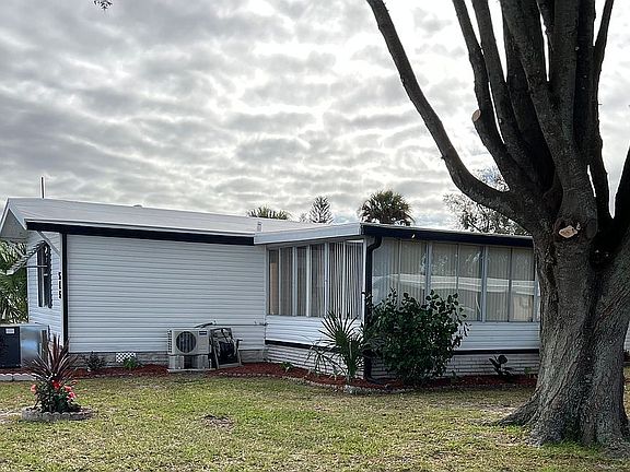 Large oak trees trimmed rece
