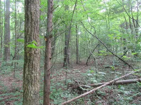 LOT A1 Wilkinson Rd Lot A1, Dinwiddie, VA 23841