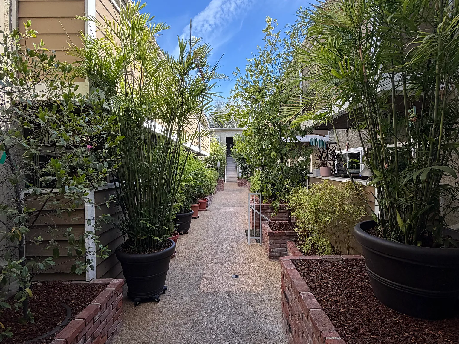 2 bed, 985 sqft, $2,500 — Photo 1