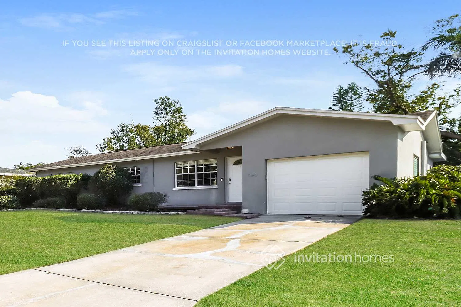 955 Grovewood Dr Dunedin, FL 34698 — Photo 3