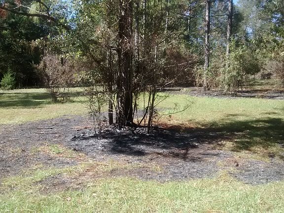 Back pasture. 