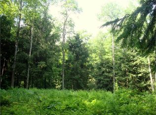 395 McCaw Rd, Redfield, NY 13437