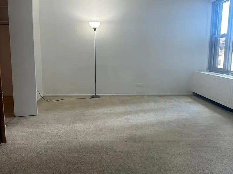 400 E Randolph St #921 — Photo 8