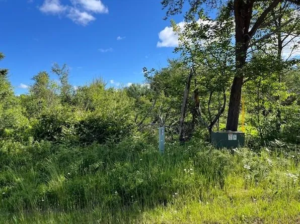 Near Cth S, Conover, WI 54519