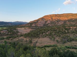 15590 Red Mountain Ln, Collbran, CO 81624