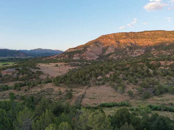 15590 Red Mountain Ln, Collbran, CO 81624