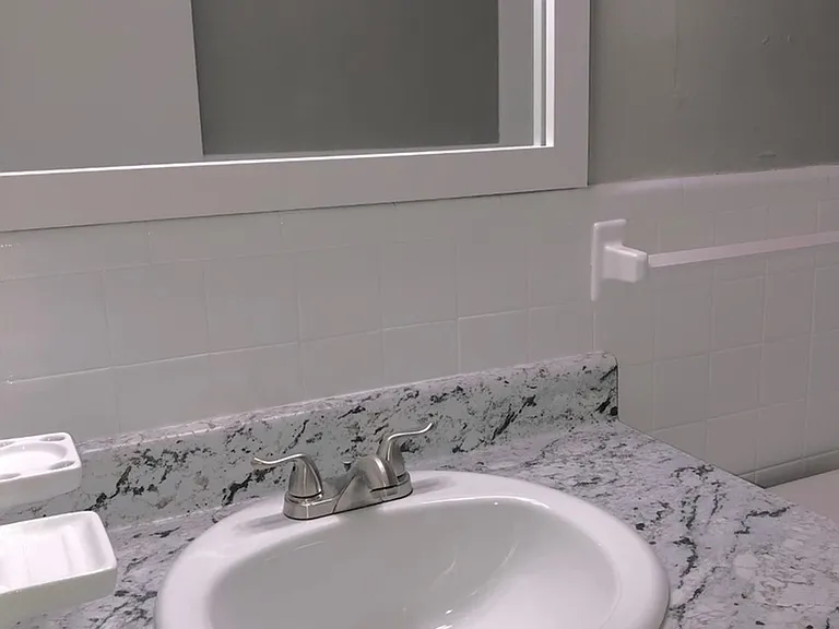 Fern bathroom