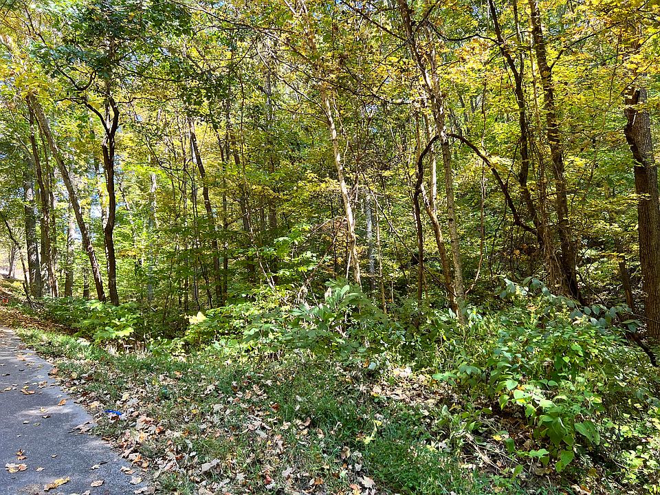 1875 Dyer Hollow Rd, Mohawk, TN 37810 MLS 9944476 Zillow