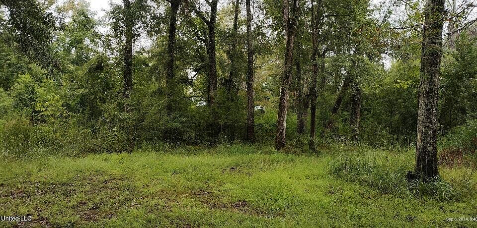 2nd image of 0 Maple Dr