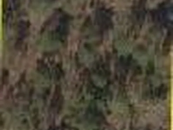 17923 NW 298 st, Okeechobee, FL 34972