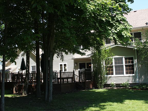 Backyard backs to woods