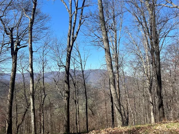 0 Weatherwatch Ln, Waynesville, NC 28786