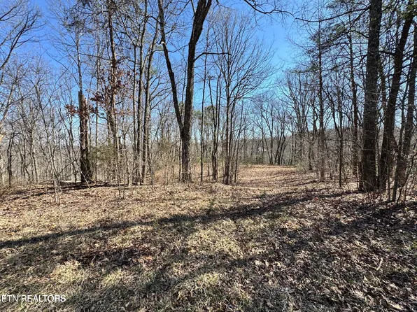 Honey Springs Rd, Crawford, TN 38554