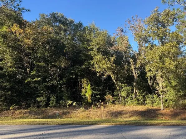 SW 66th St Lot 1, Ocala, FL 34481