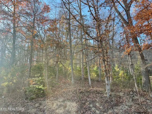 0 Holiday Ln, Jellico, TN 37762