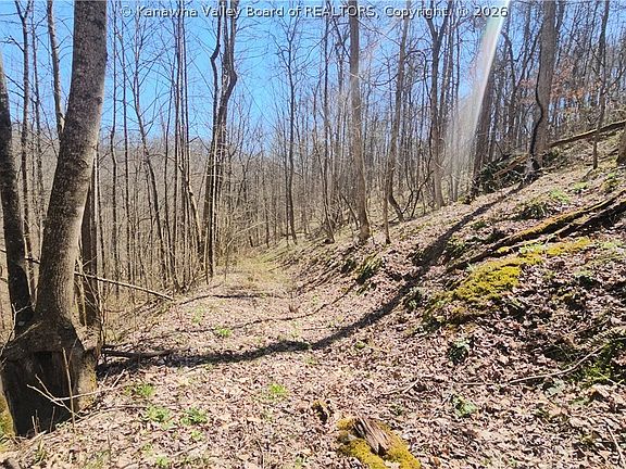 2nd image of X Bufflick Rd