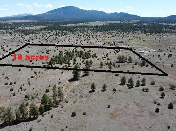 5308 N Red Mountain Rd, Williams, AZ 86046